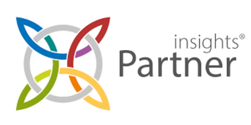 insights discovery partner